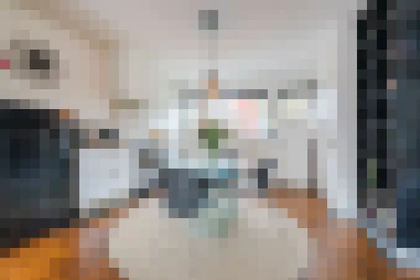 Wiardi Beckmanstraat 11 Papendrecht thumbnail 9
