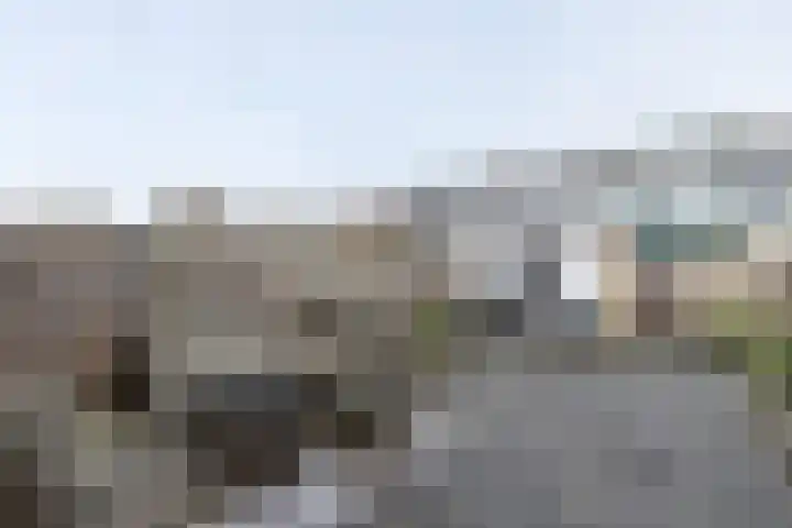 Wiardi Beckmanstraat 13 Papendrecht thumbnail 4