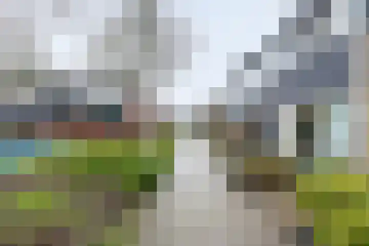 Wiardi Beckmanstraat 13 Papendrecht thumbnail 5
