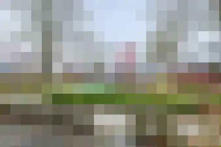 Wiardi Beckmanstraat 13 Papendrecht thumbnail 6