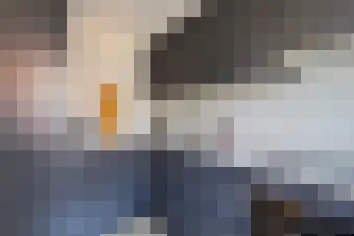 Wiardi Beckmanstraat 15 Alkmaar thumbnail 19