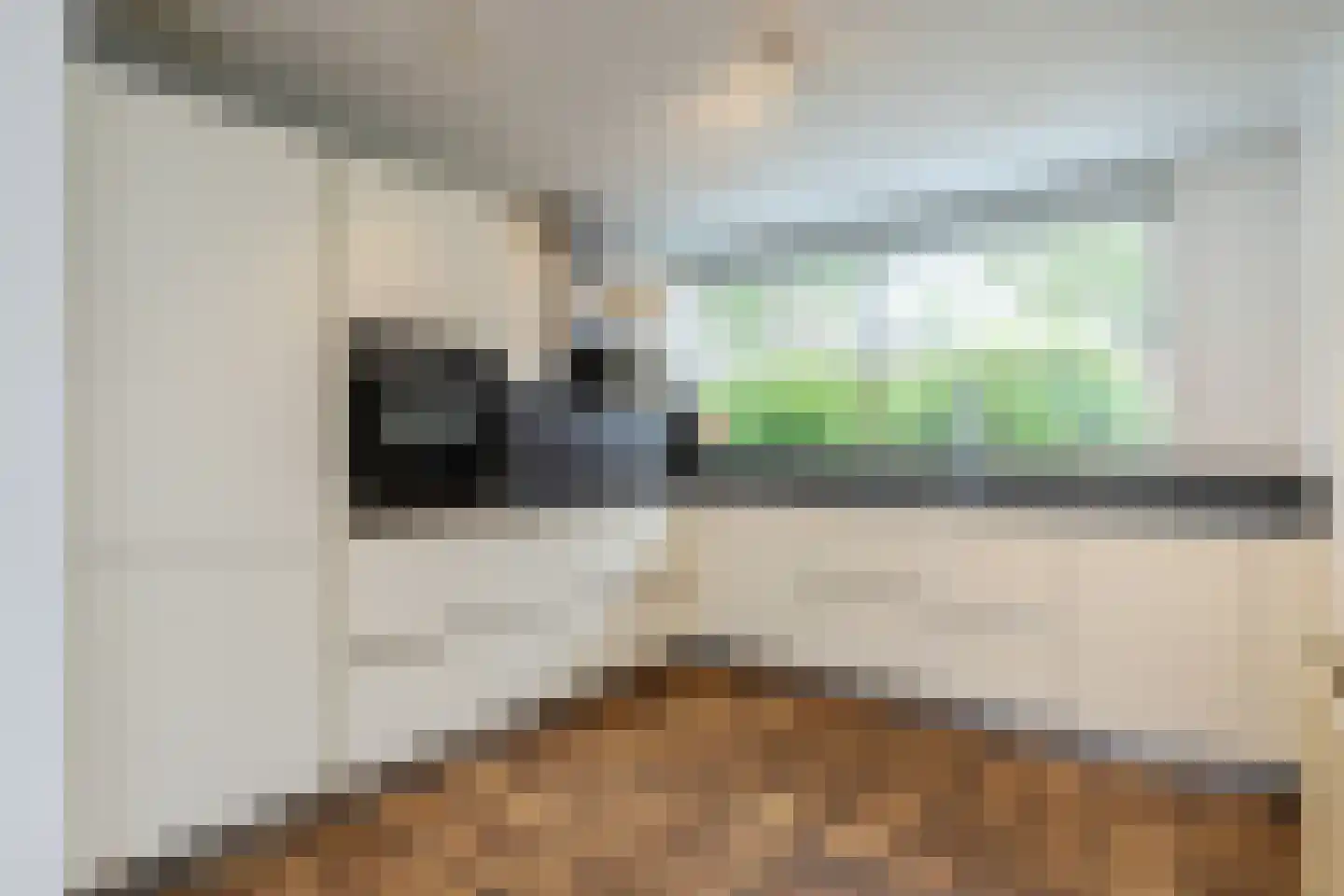 Wiardi Beckmanstraat 19 Papendrecht thumbnail 12