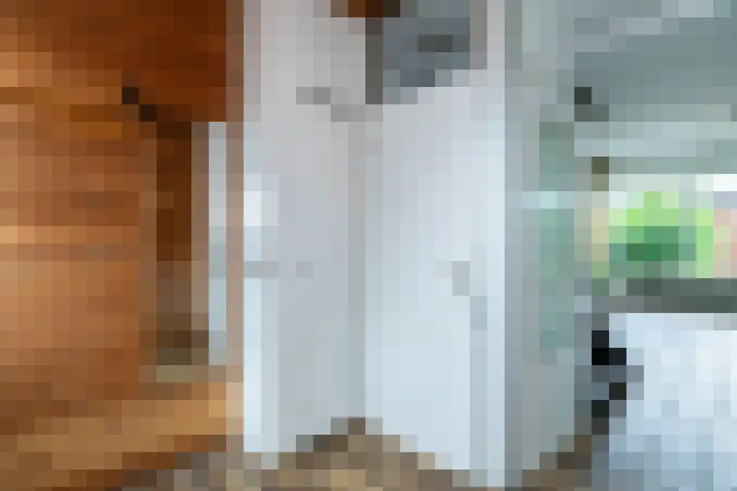 Wiardi Beckmanstraat 19 Papendrecht thumbnail 7