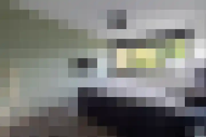 Wiardi Beckmanstraat 28 Doetinchem thumbnail 30