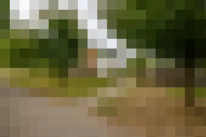 Wiardi Beckmanstraat 28 Doetinchem thumbnail 42