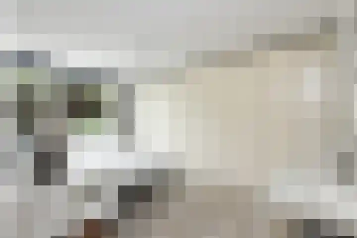 Wiardi Beckmanstraat 322 Soest thumbnail 14