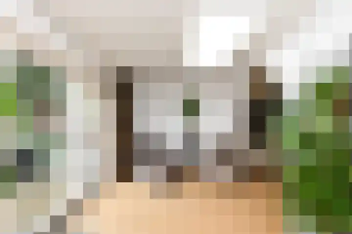 Wiardi Beckmanstraat 322 Soest thumbnail 5