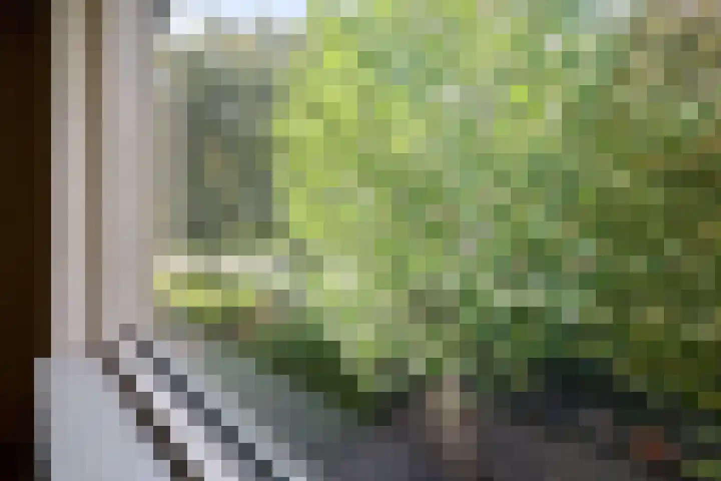 Wiardi Beckmanstraat 340 Soest thumbnail 19