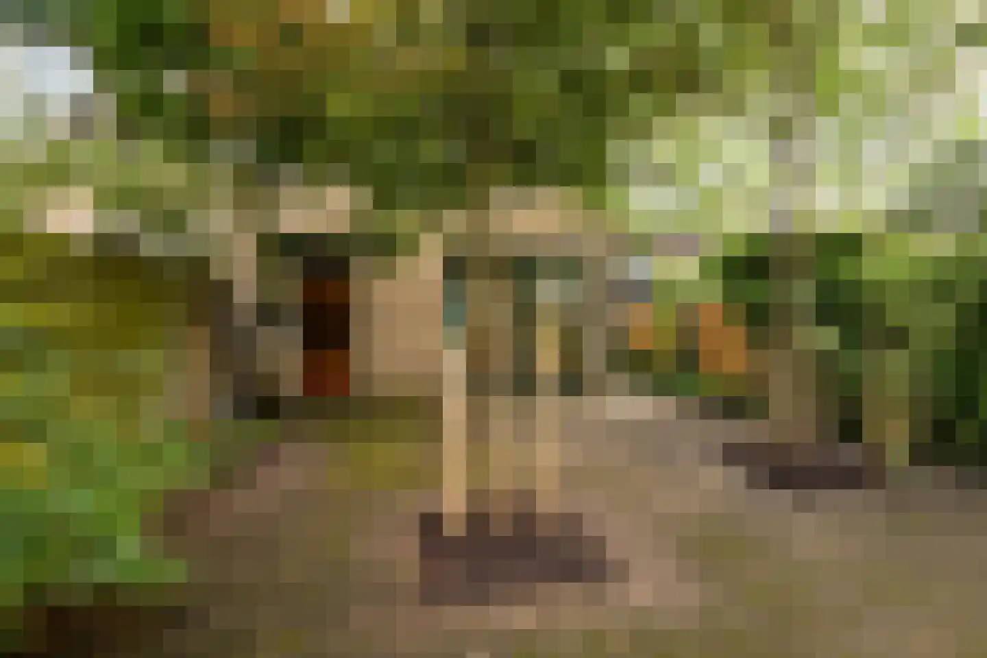 Wiardi Beckmanstraat 340 Soest thumbnail 30