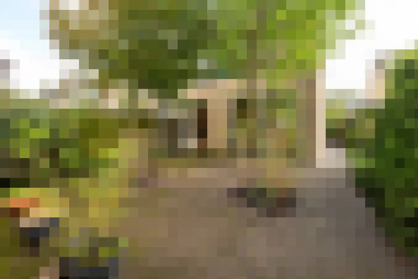 Wiardi Beckmanstraat 340 Soest thumbnail 32