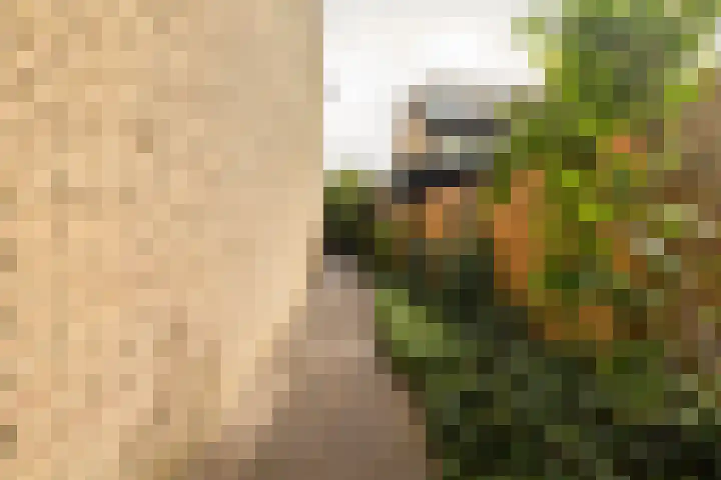 Wiardi Beckmanstraat 340 Soest thumbnail 34