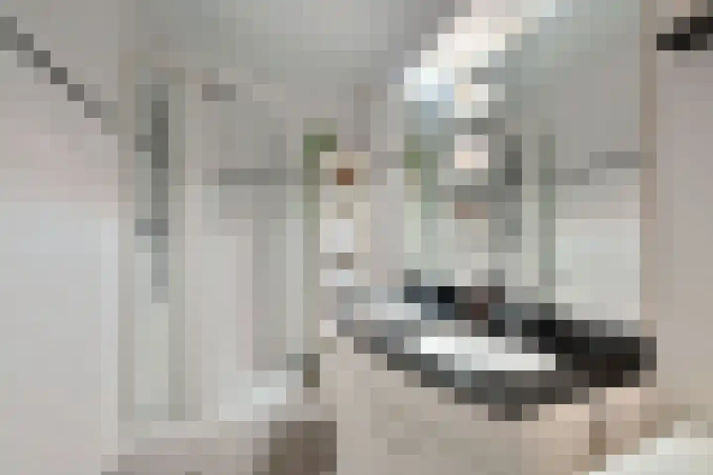 Wiardi Beckmanstraat 39 Breukelen thumbnail 27