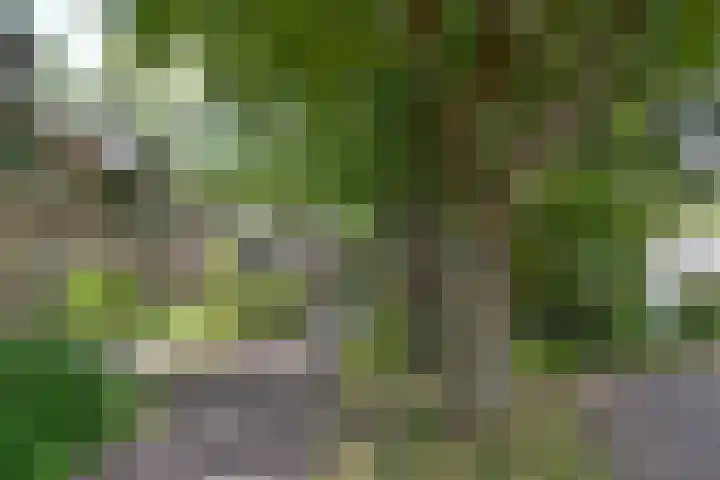 Wiardi Beckmanstraat 390 Soest thumbnail 24