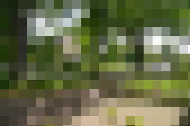 Wiardi Beckmanstraat 390 Soest thumbnail 25