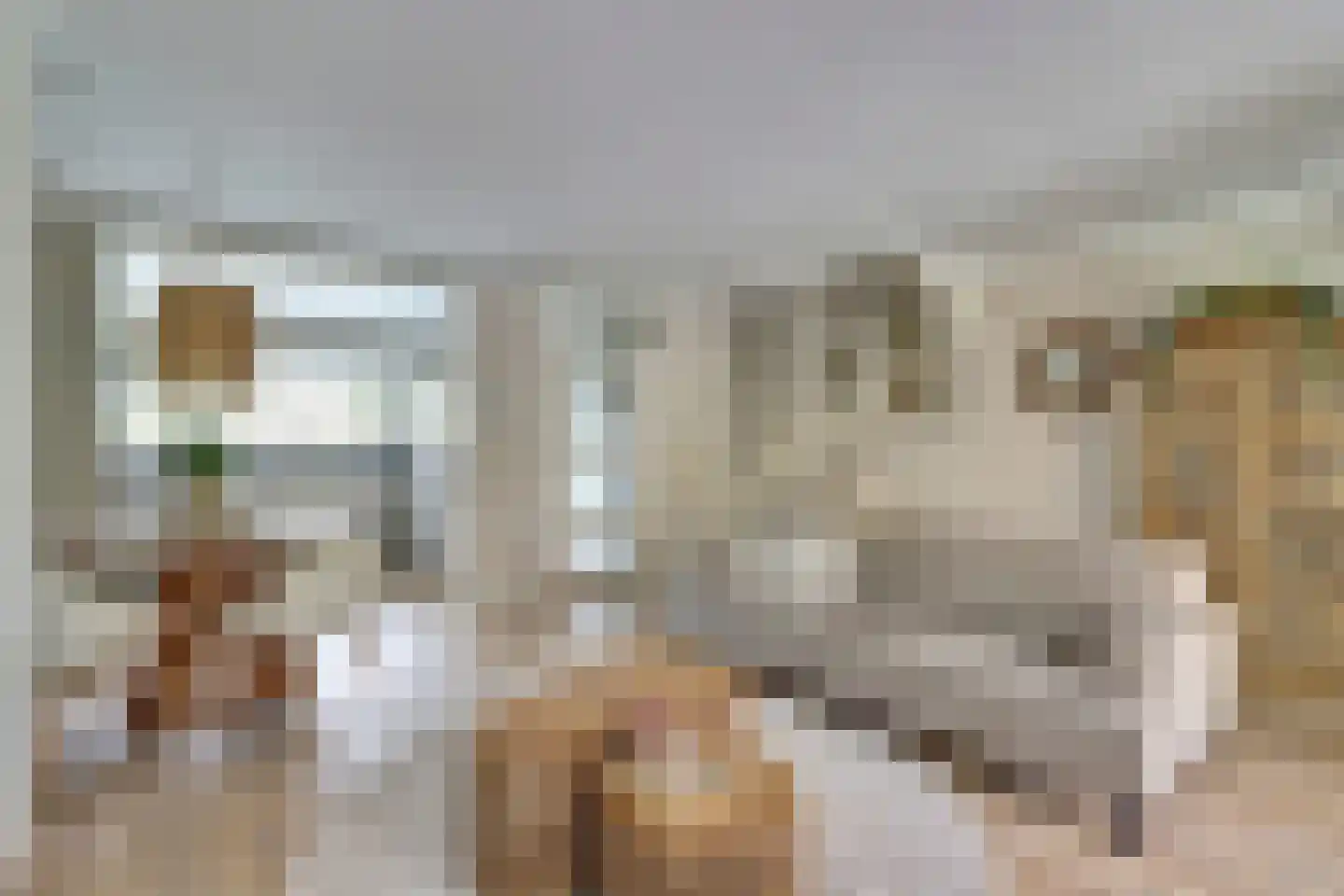 Wiardi Beckmanstraat 45 Papendrecht thumbnail 11
