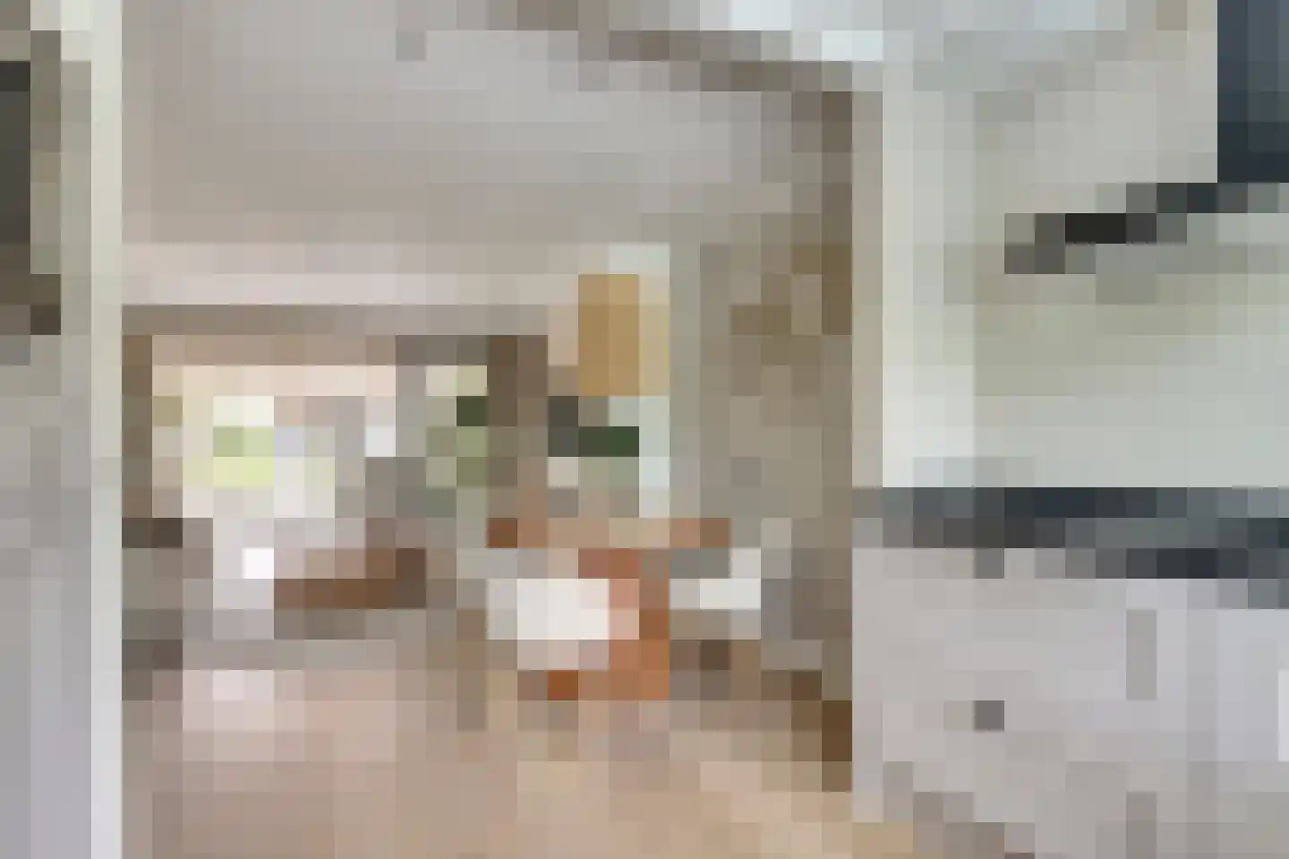 Wiardi Beckmanstraat 45 Papendrecht thumbnail 15