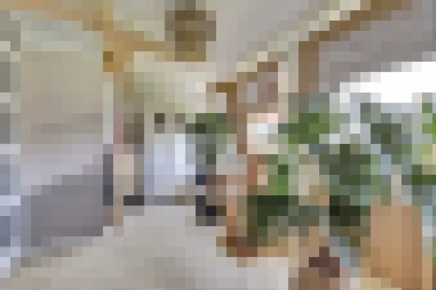 Wiardi Beckmanstraat 45 Papendrecht thumbnail 22