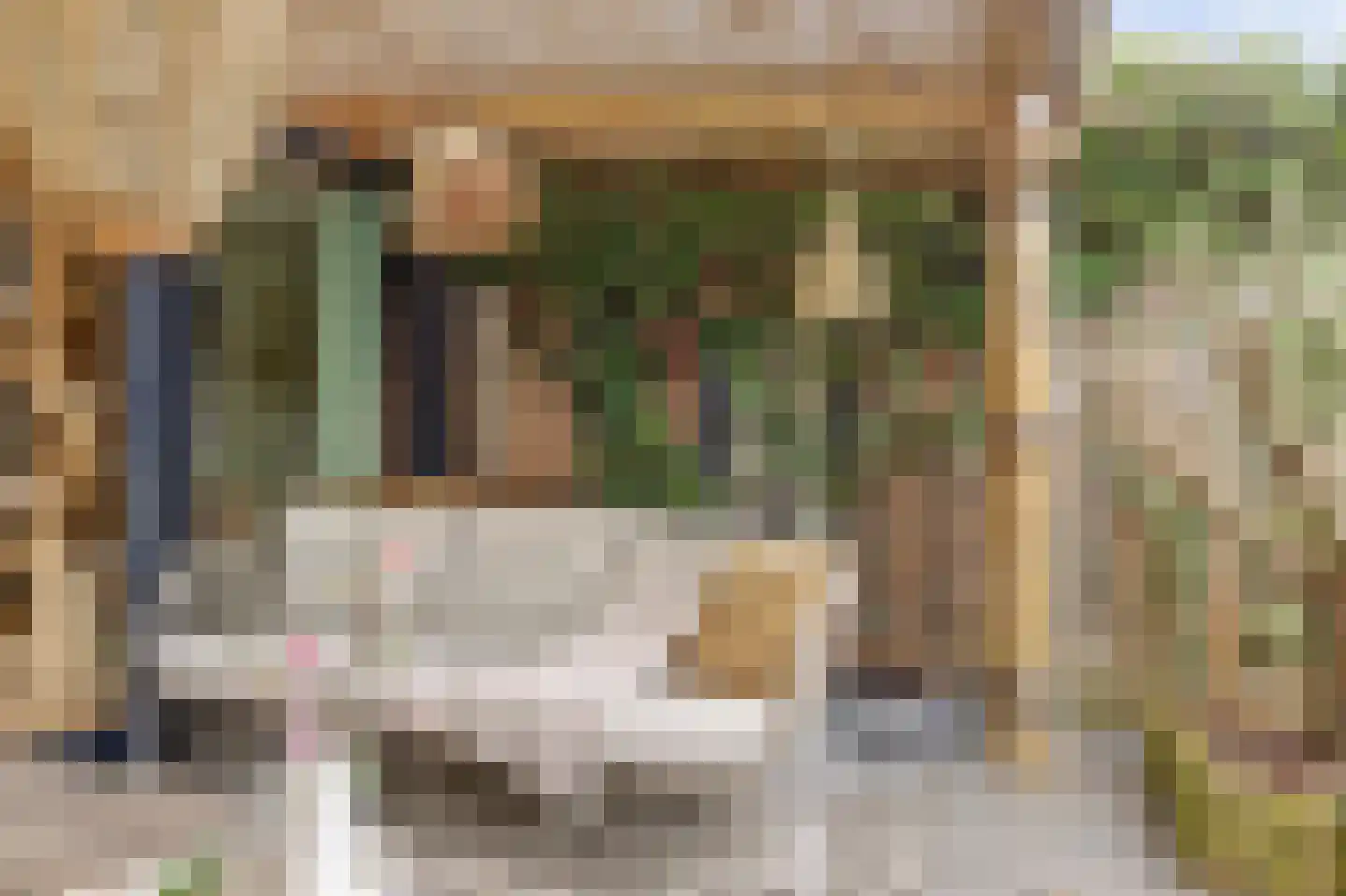 Wiardi Beckmanstraat 45 Papendrecht thumbnail 34