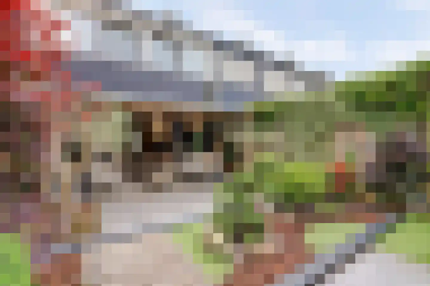 Wiardi Beckmanstraat 45 Papendrecht thumbnail 39