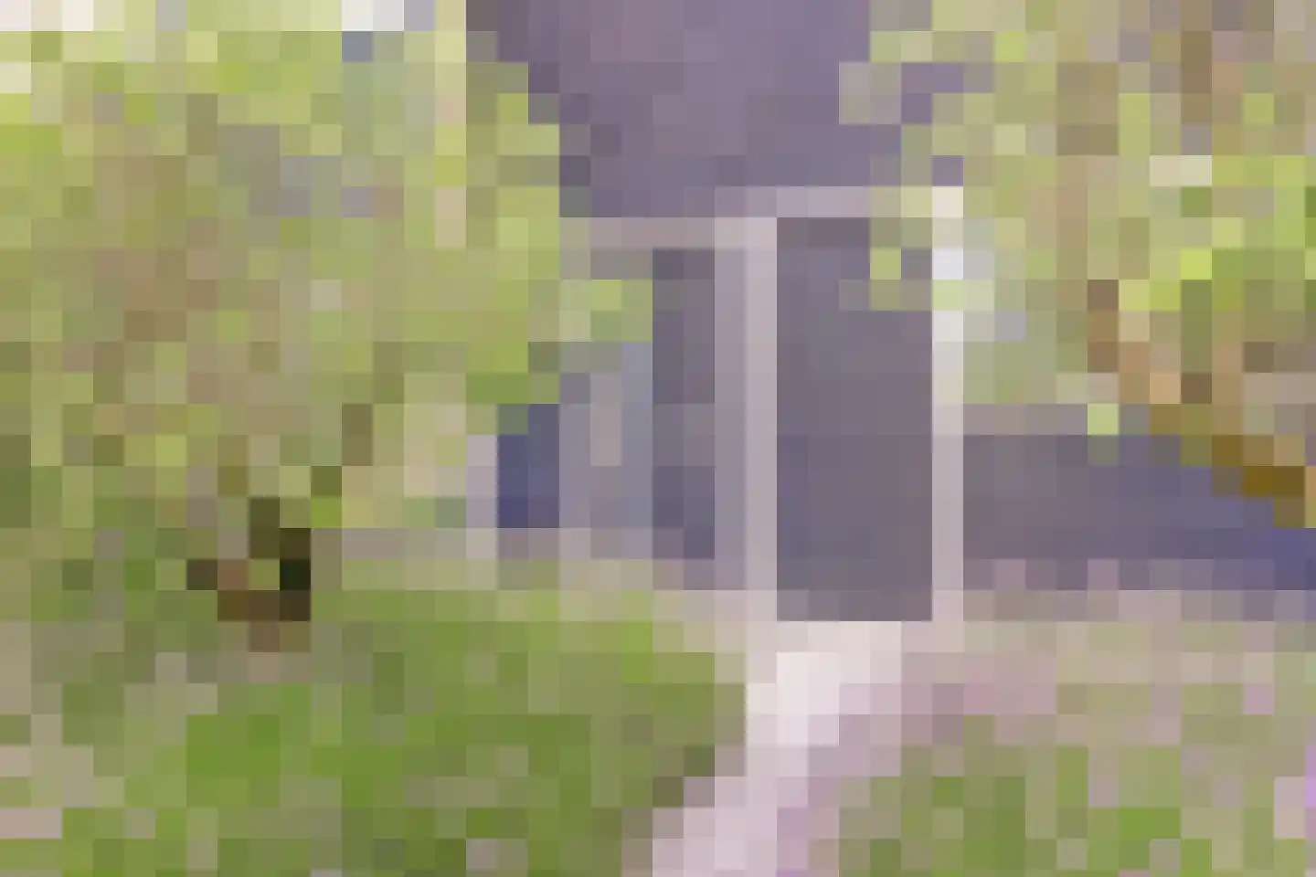 Wiardi Beckmanstraat 45 Papendrecht thumbnail 44