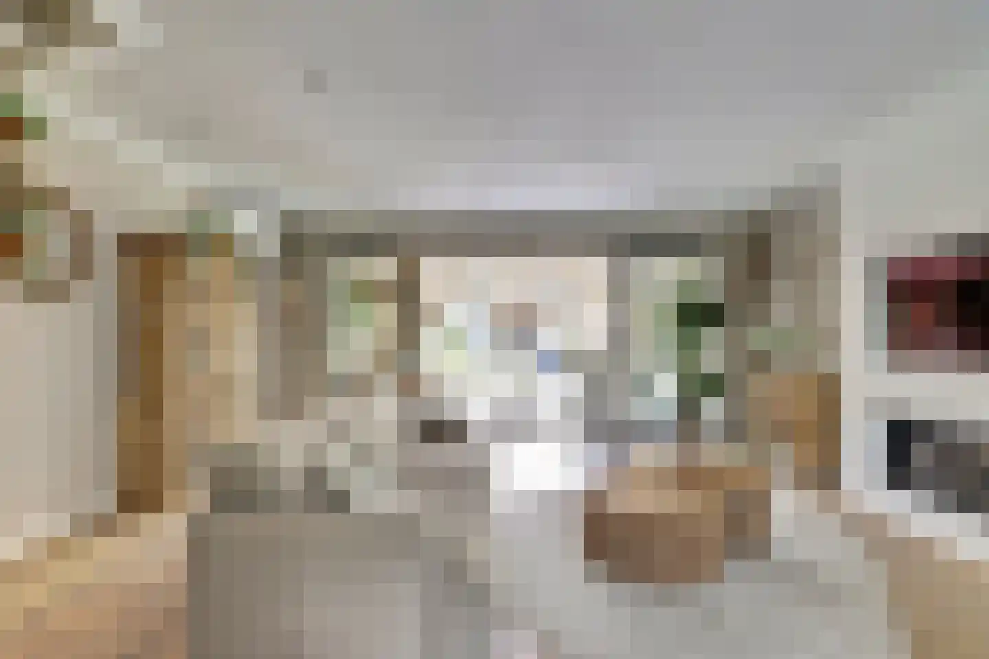 Wiardi Beckmanstraat 45 Papendrecht thumbnail 8