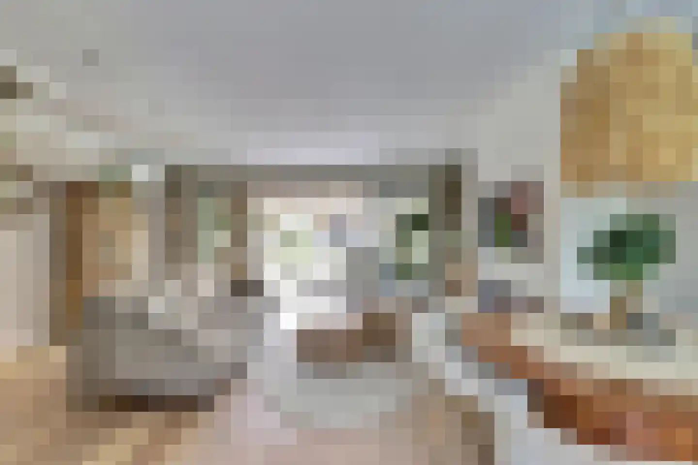 Wiardi Beckmanstraat 45 Papendrecht thumbnail 9
