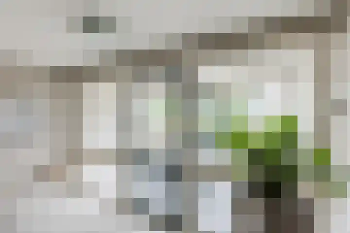 Wiardi Beckmanstraat 57 Breukelen thumbnail 7