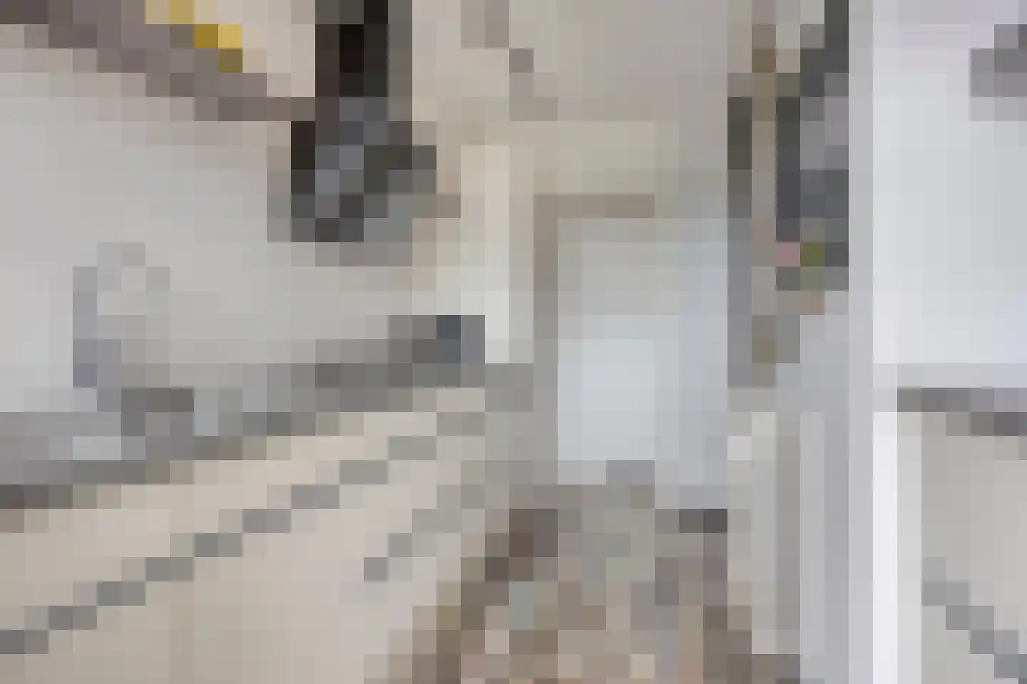Wiardi Beckmanstraat 71 Breukelen thumbnail 18