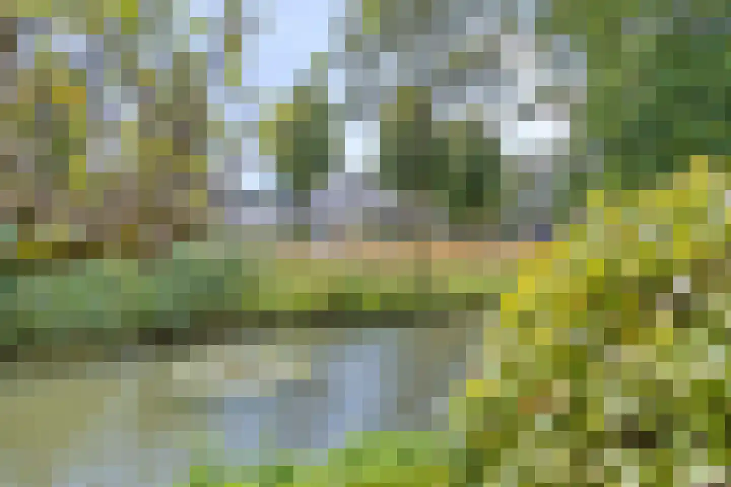 Wibauthof 20 's-Hertogenbosch thumbnail 13