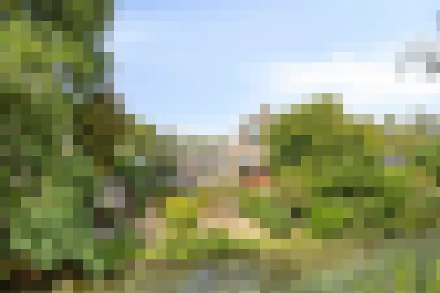 Wibauthof 20 's-Hertogenbosch thumbnail 27