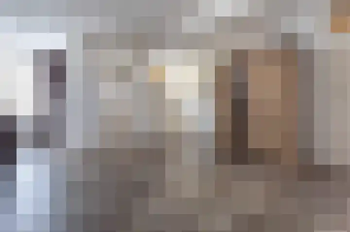 Wibauthof 32 's-Hertogenbosch thumbnail 5