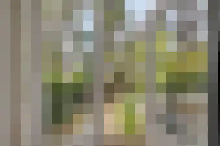 Wibautlaan 3 Amstelveen thumbnail 27