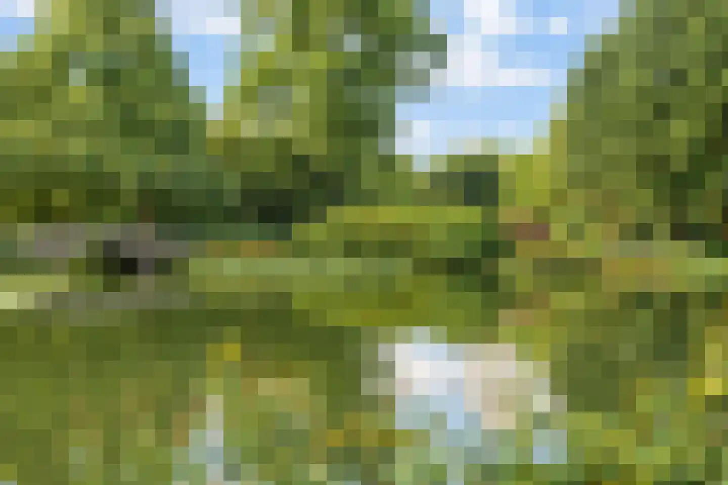 Wibautlaan 39 Amstelveen thumbnail 33