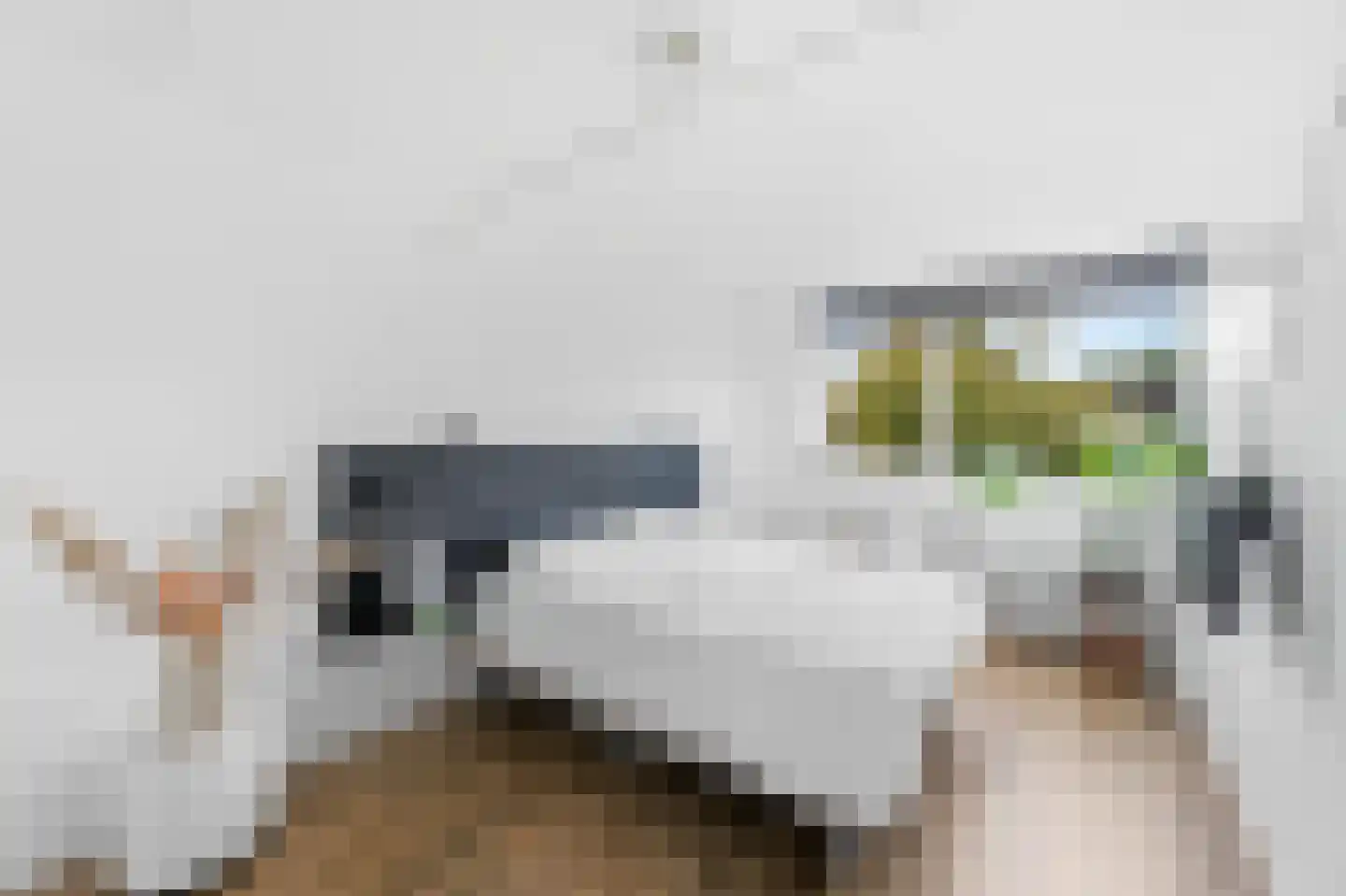 Wibautlaan 5 Vlissingen thumbnail 6
