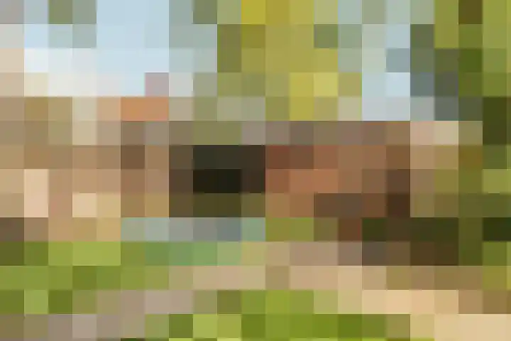 Wibautlaan 7 Amstelveen thumbnail 20