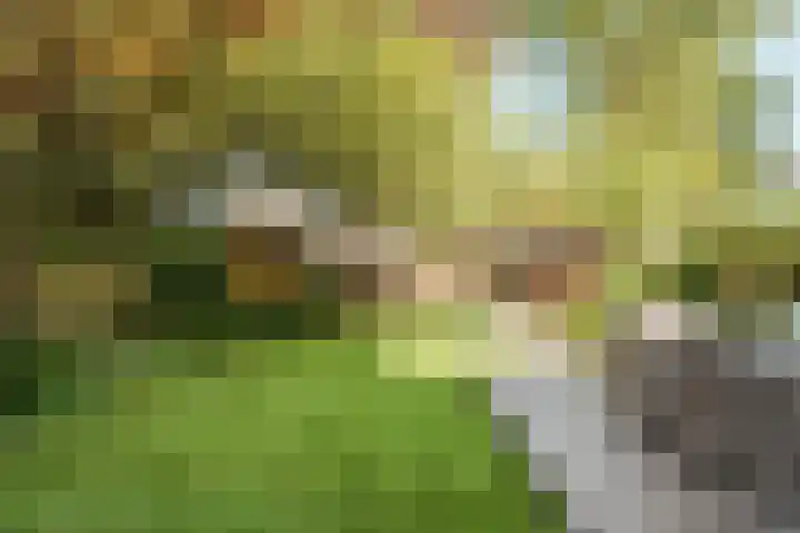 Wibautlaan 7 Amstelveen thumbnail 21