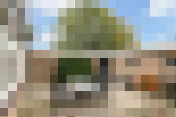 Wibautstraat 12 Maarssen thumbnail 26