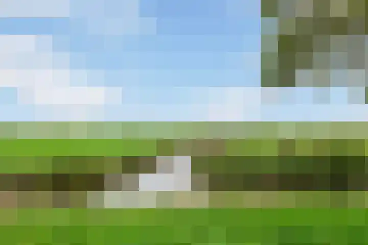 Wibautstraat 12 Maarssen thumbnail 30