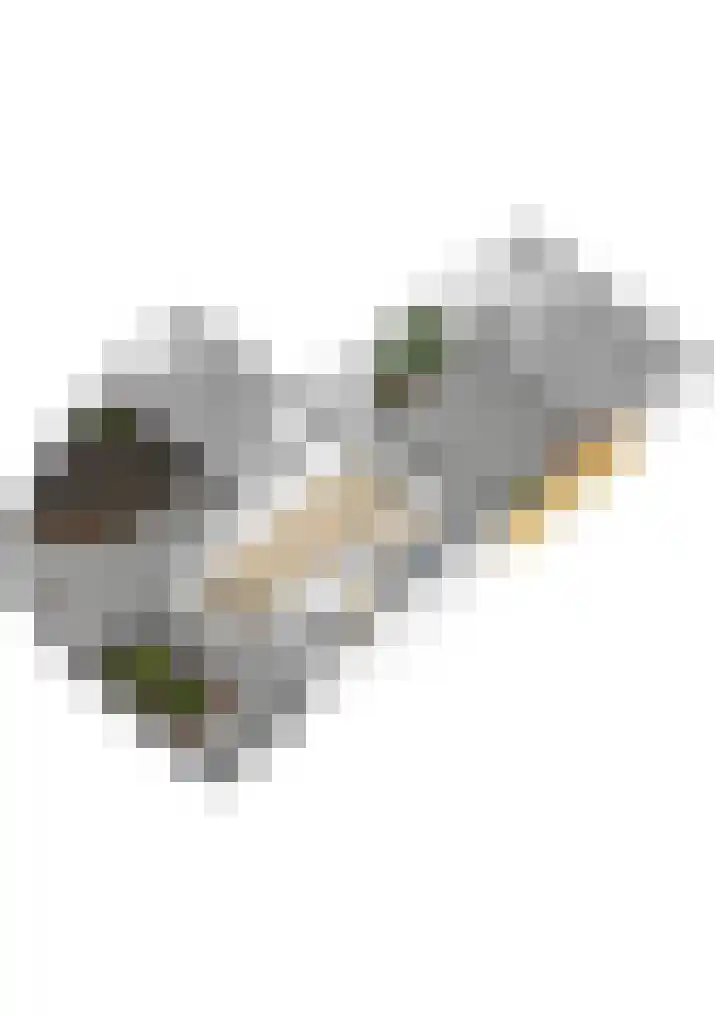 Wibautstraat 12 Maarssen thumbnail 38
