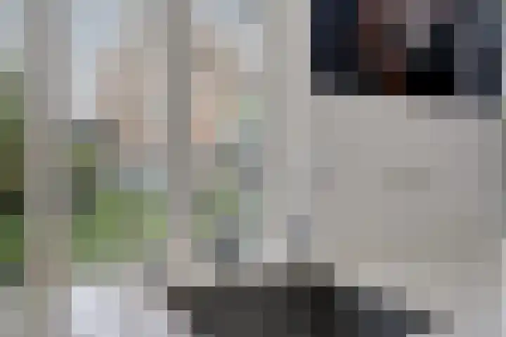 Wibautstraat 26 Maarssen thumbnail 15