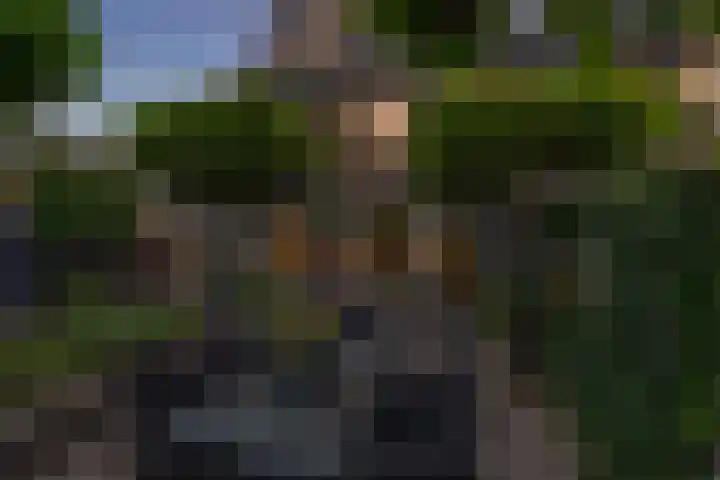 Wibautstraat 26 Maarssen thumbnail 34