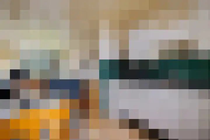 Wibautstraat 3 Veenoord thumbnail 10