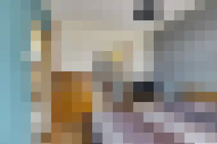 Wibautstraat 3 Veenoord thumbnail 12