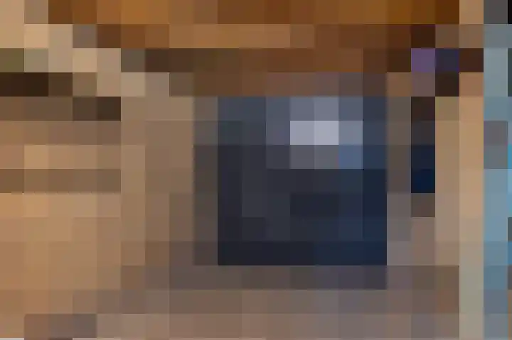 Wibautstraat 3 Veenoord thumbnail 18