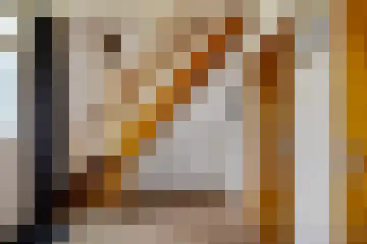 Wibautstraat 3 Veenoord thumbnail 19