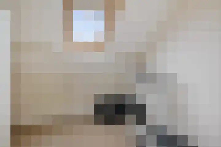 Wibautstraat 3 Veenoord thumbnail 24