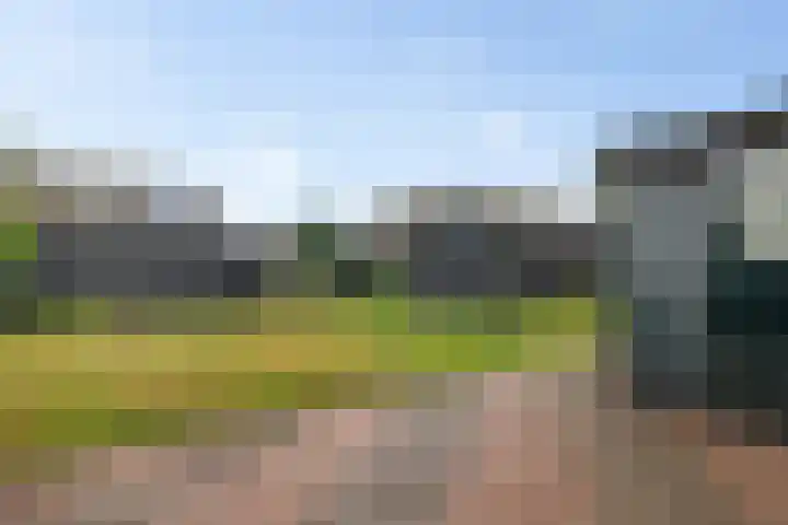Wibautstraat 3 Veenoord thumbnail 27