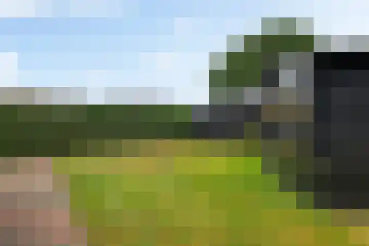 Wibautstraat 3 Veenoord thumbnail 29