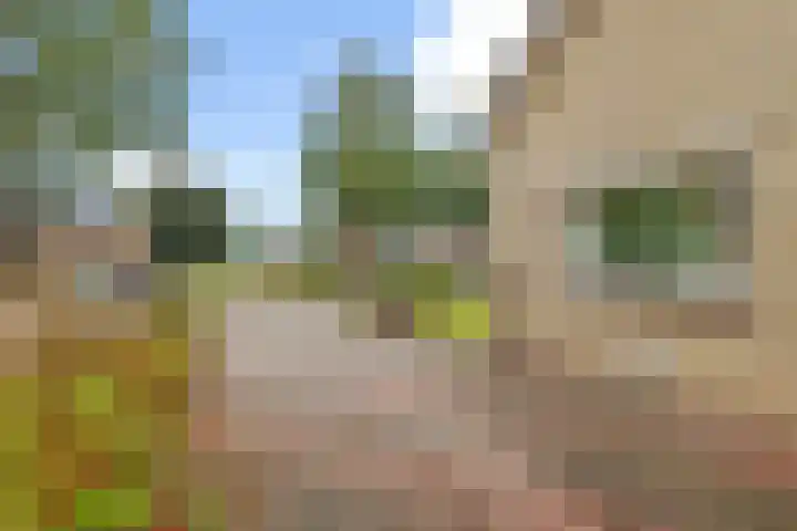 Wibautstraat 3 Veenoord thumbnail 30