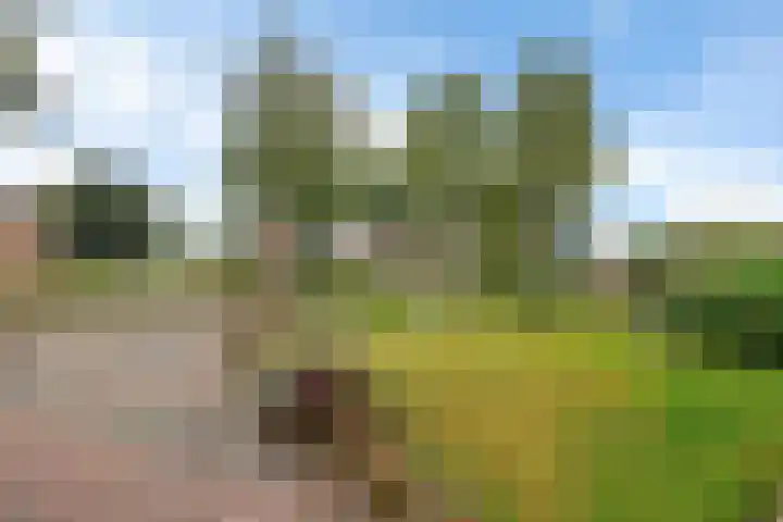 Wibautstraat 3 Veenoord thumbnail 31